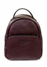 Рюкзак Vanessa Scani VS23-4 бордовый