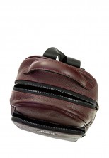 Рюкзак Vanessa Scani VS23-4 бордовый